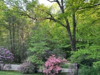 2025-Jul-14-Amber-Wippel-Img-0935