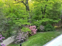 2025-Jul-14-Amber-Wippel-Img-0936