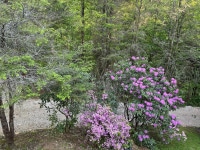 2025-Jul-14-Amber-Wippel-Img-0937