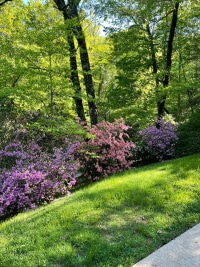 2025-Jul-14-Amber-Wippel-Img-6297