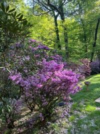 2025-Jul-14-Amber-Wippel-Img-6299