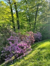 2025-Jul-14-Amber-Wippel-Img-6300