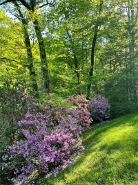 2025-Jul-14-Amber-Wippel-Img-6301