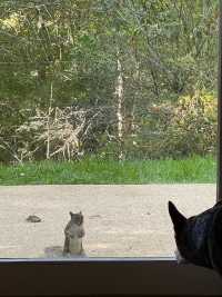 2025-Jul-14-Amber-Wippel-Img-6366