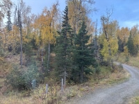 2026-Jul-14-Cecil-Ellsworth-Autumn-Front-Yard-25
