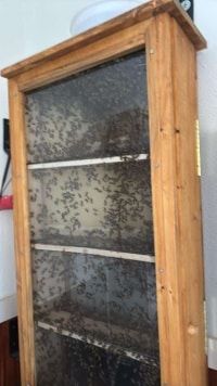 2026-Jul-14-Cecil-Ellsworth-Observation-Hive-W-Bees