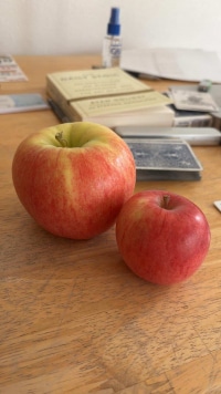 2026-Jul-14-Cecil-Ellsworth-Two-Apples
