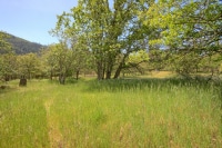 LAND01